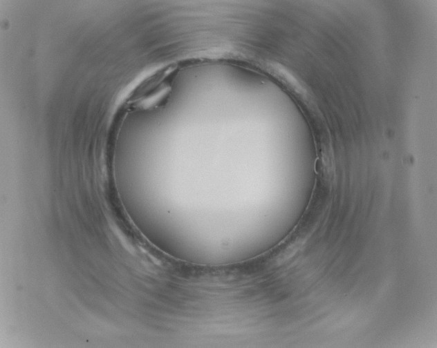 X0000074950532200609291850