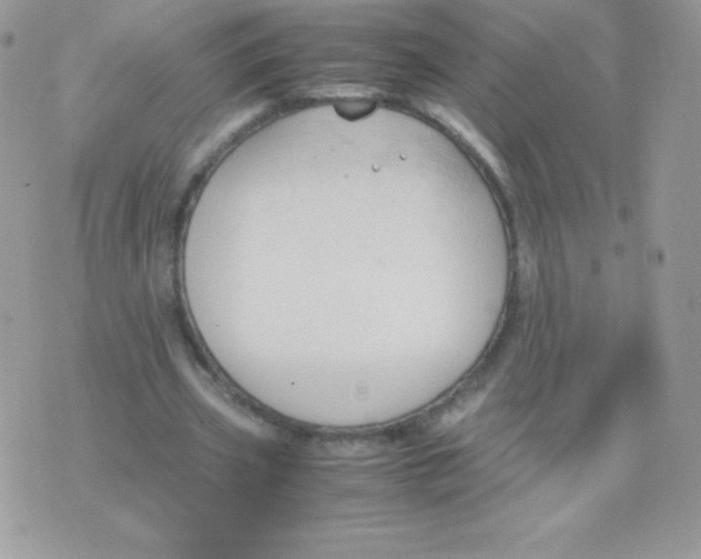 X0000074950533200609291850