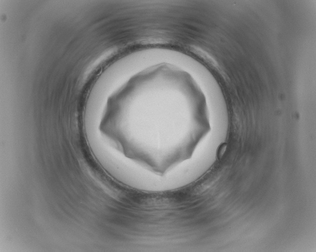 X0000074950535200609291850