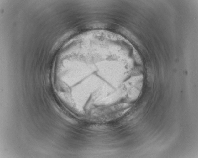 X0000074950537200609291850