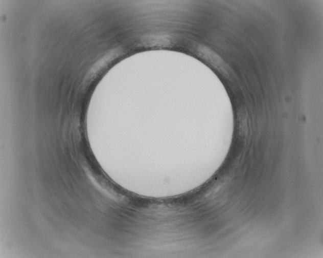 X0000074950538200609291850