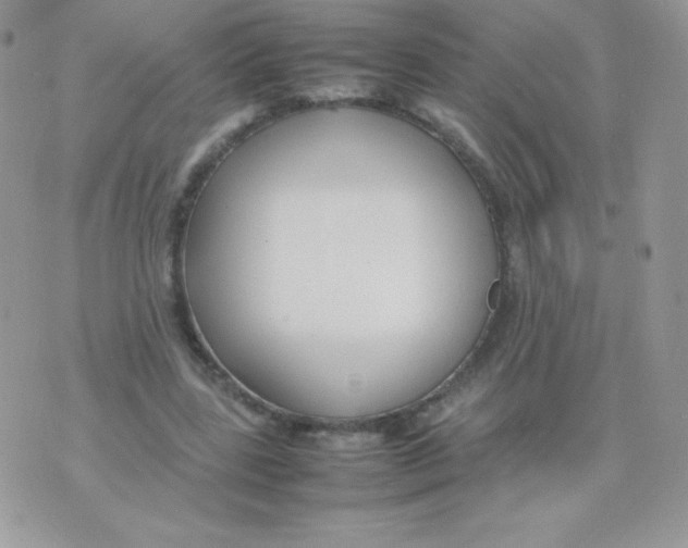 X0000074950539200609291850