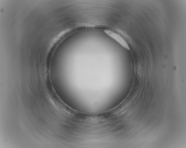 X0000074950540200609291850