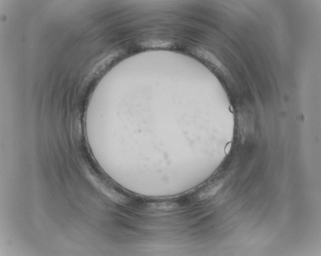 X0000074950541200609291850