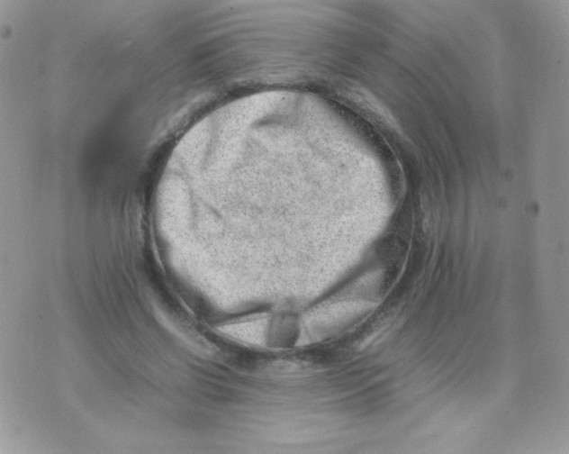 X0000074950542200609291850