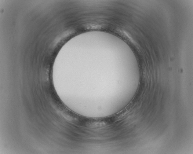 X0000074950543200609291850