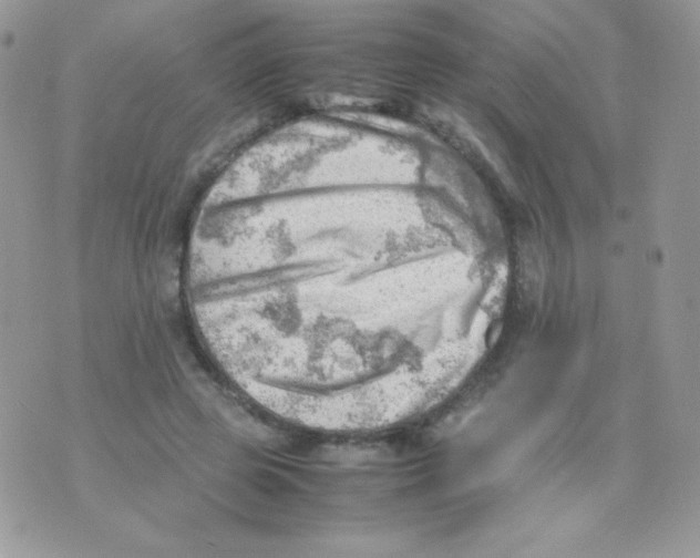 X0000074950545200609291850