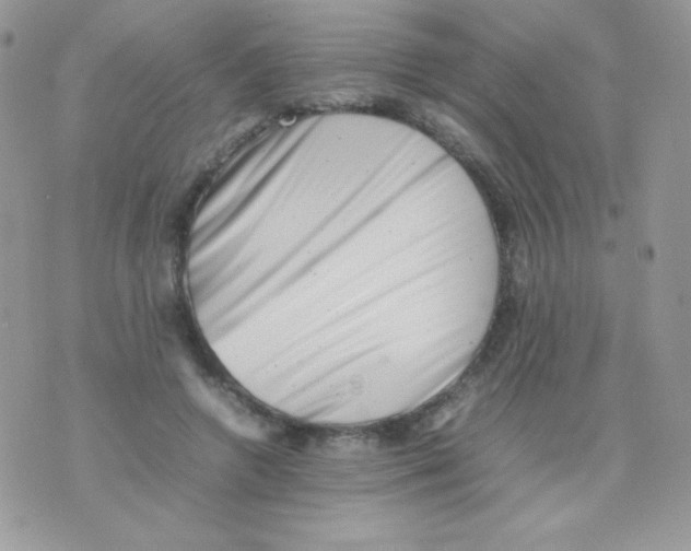 X0000074950546200609291850