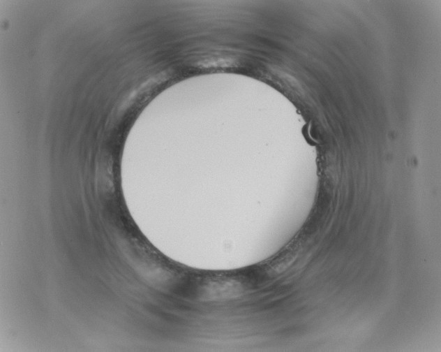 X0000074950547200609291850