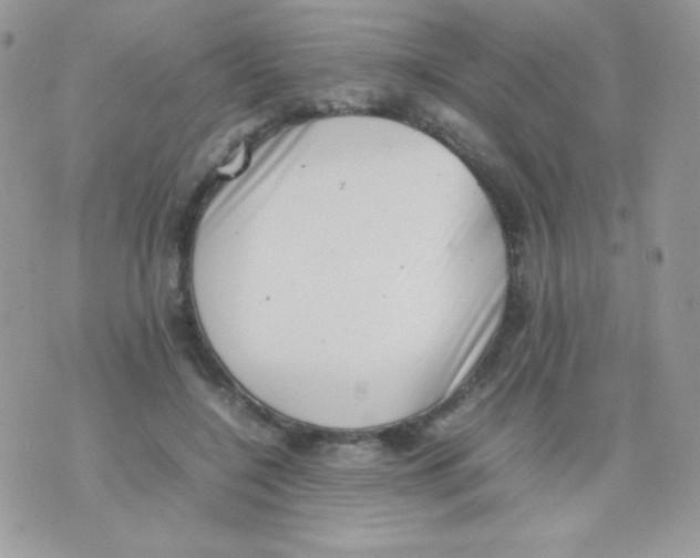 X0000074950548200609291850