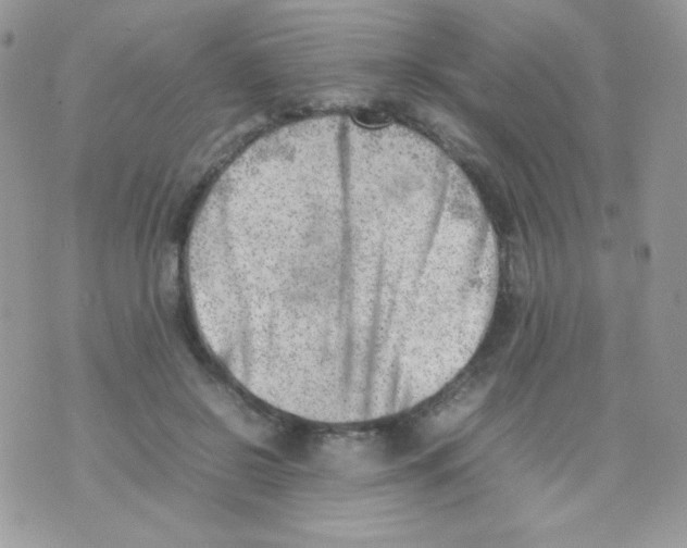 X0000074950550200609291850