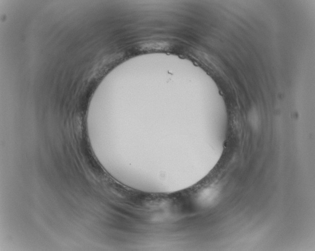 X0000074950551200609291850