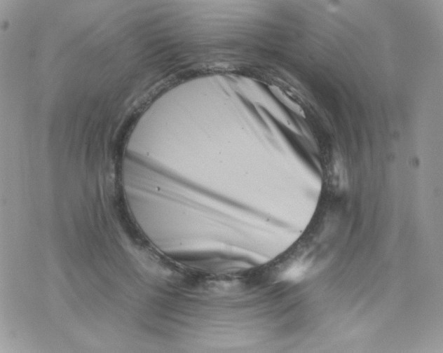 X0000074950552200609291850