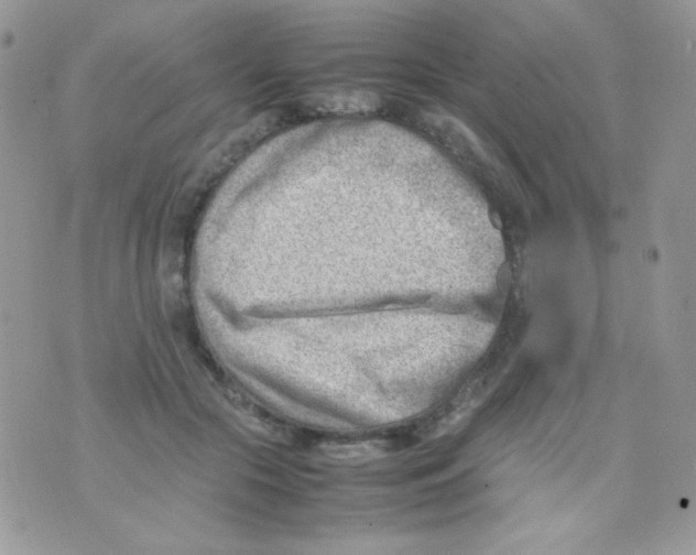 X0000074950553200609291850