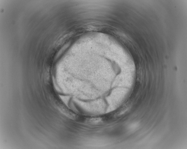 X0000074950554200609291850