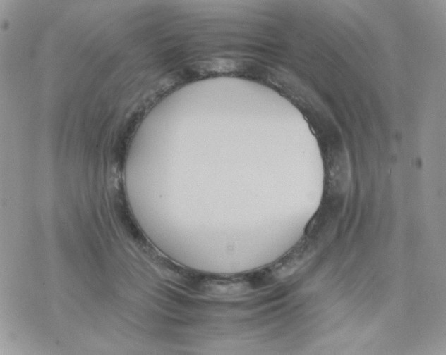 X0000074950555200609291850