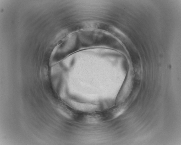 X0000074950556200609291850