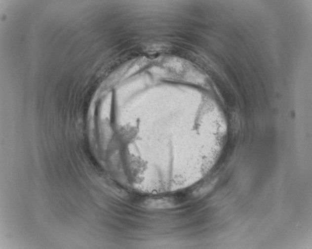 X0000074950557200609291850