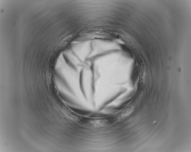 X0000074950558200609291850