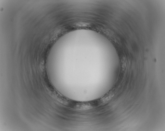 X0000074950559200609291850