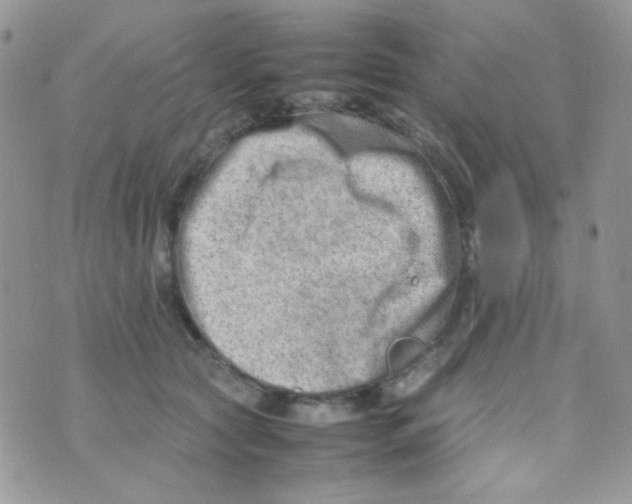 X0000074950561200609291850