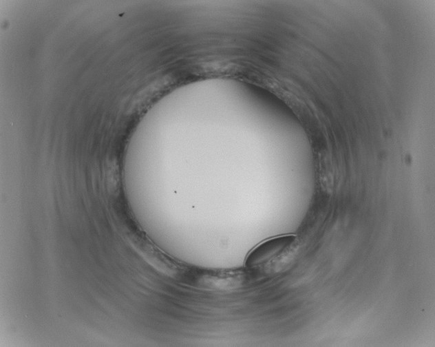 X0000074950563200609291850