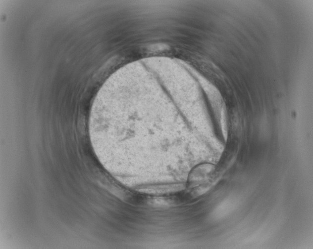 X0000074950565200609291850