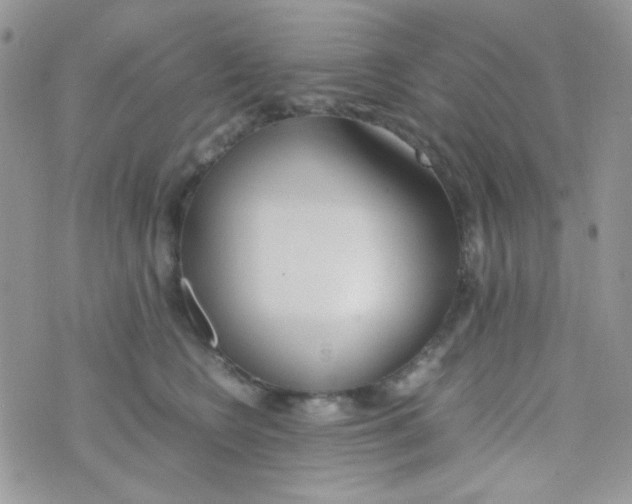 X0000074950566200609291850