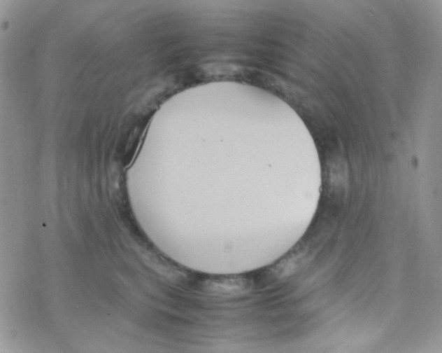 X0000074950567200609291850