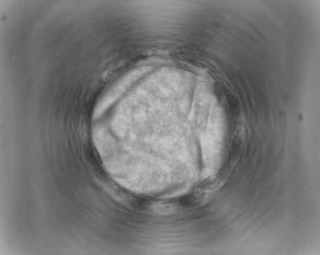 X0000074950568200609291850