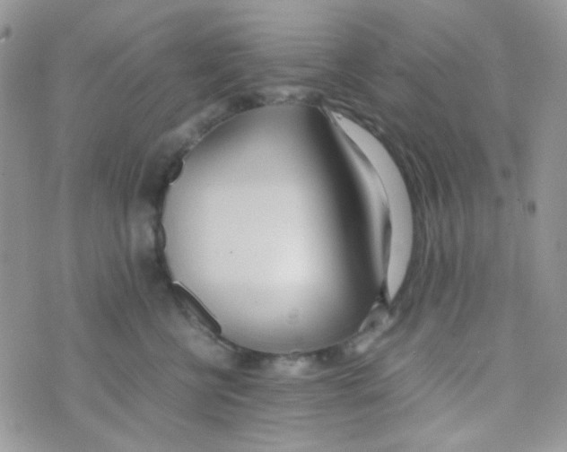 X0000074950570200609291850