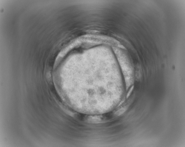 X0000074950573200609291850