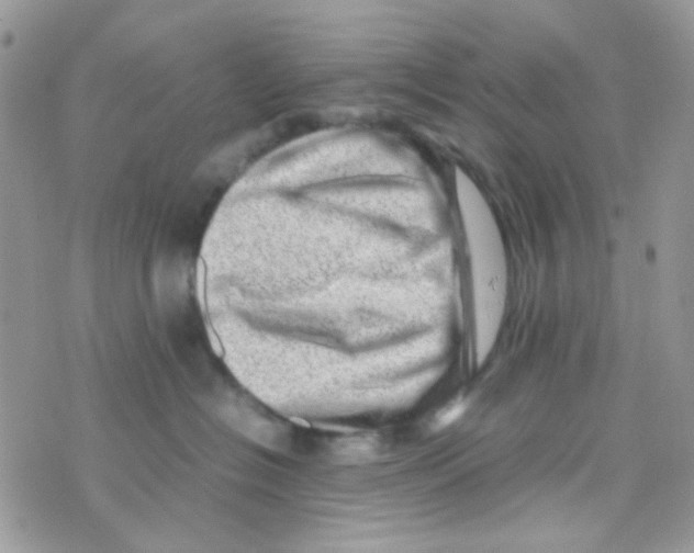 X0000074950574200609291850