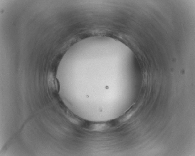 X0000074950575200609291850