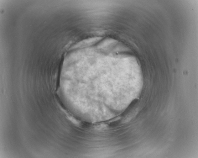 X0000074950576200609291850