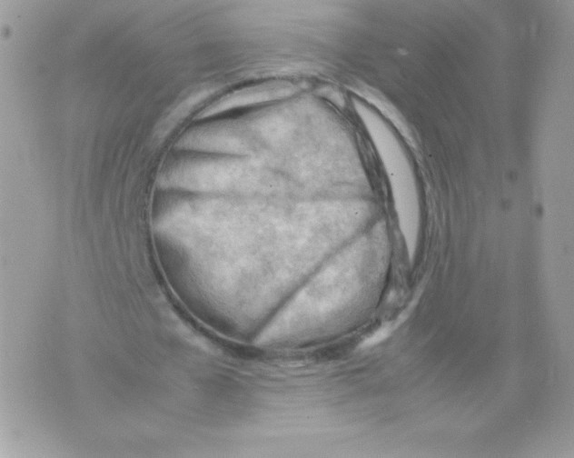 X0000074950577200609291850