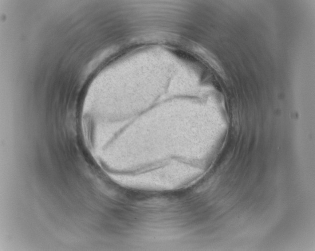 X0000074950578200609291850