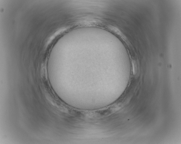 X0000074950579200609291850