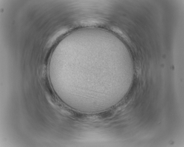 X0000074950583200609291849