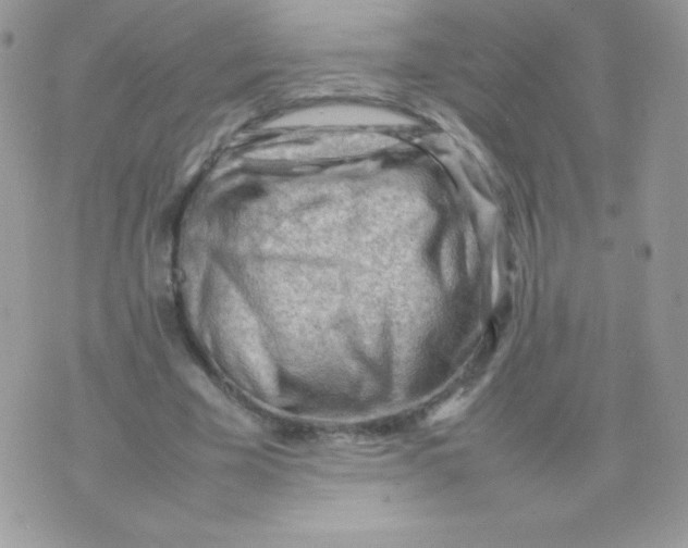 X0000074950585200609291849