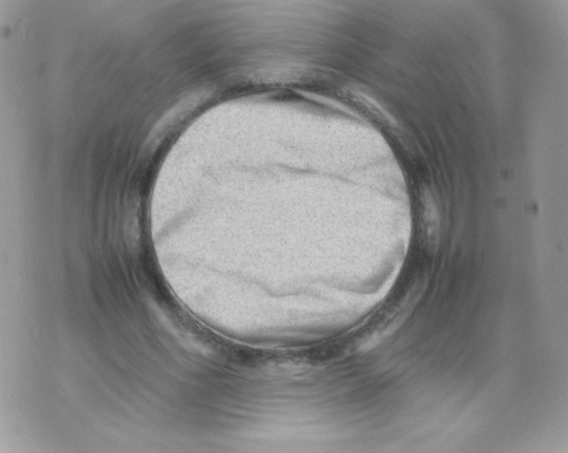 X0000074950586200609291849