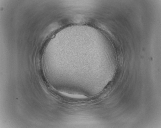 X0000074950587200609291849