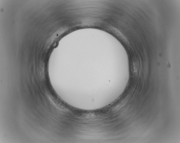 X0000074950588200609291849