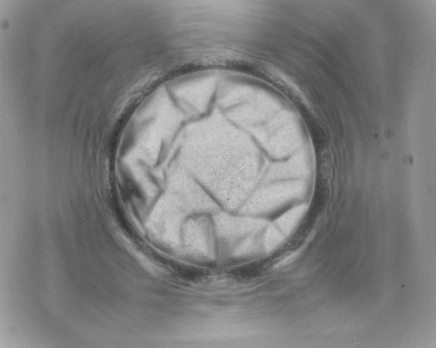 X0000074950589200609291849