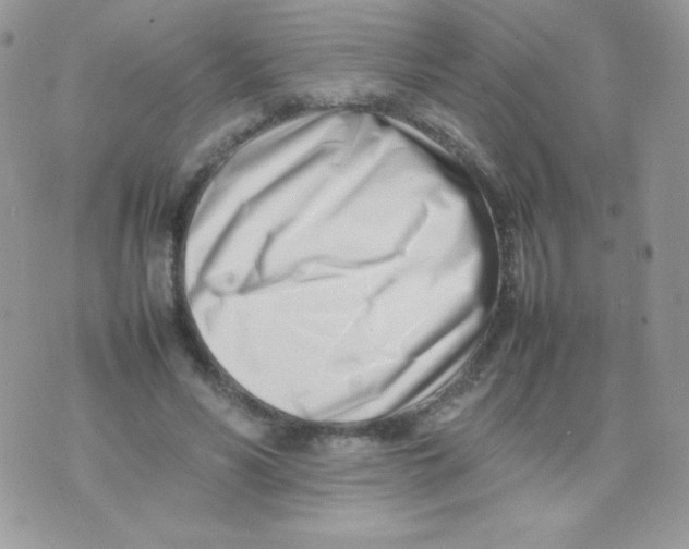 X0000074950590200609291849