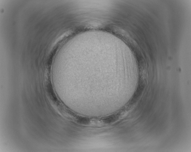 X0000074950591200609291849