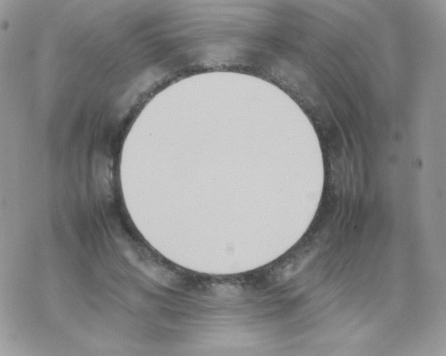 X0000074950592200609291849