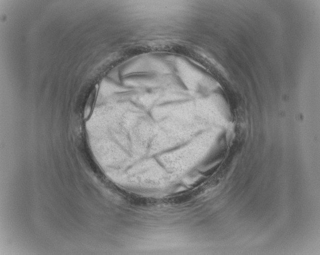 X0000074950593200609291849