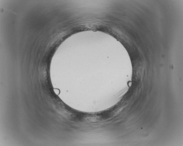 X0000074950595200609291849