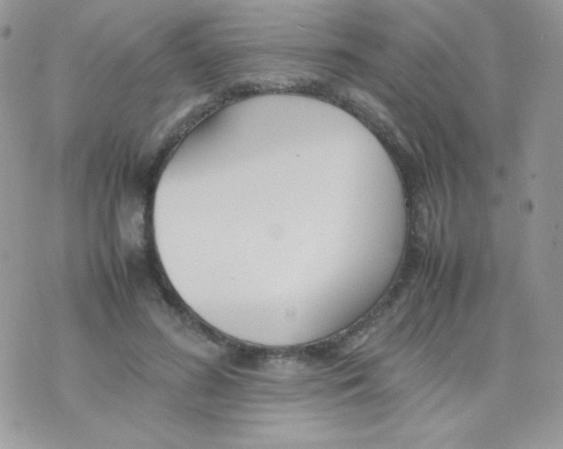 X0000074950596200609291849